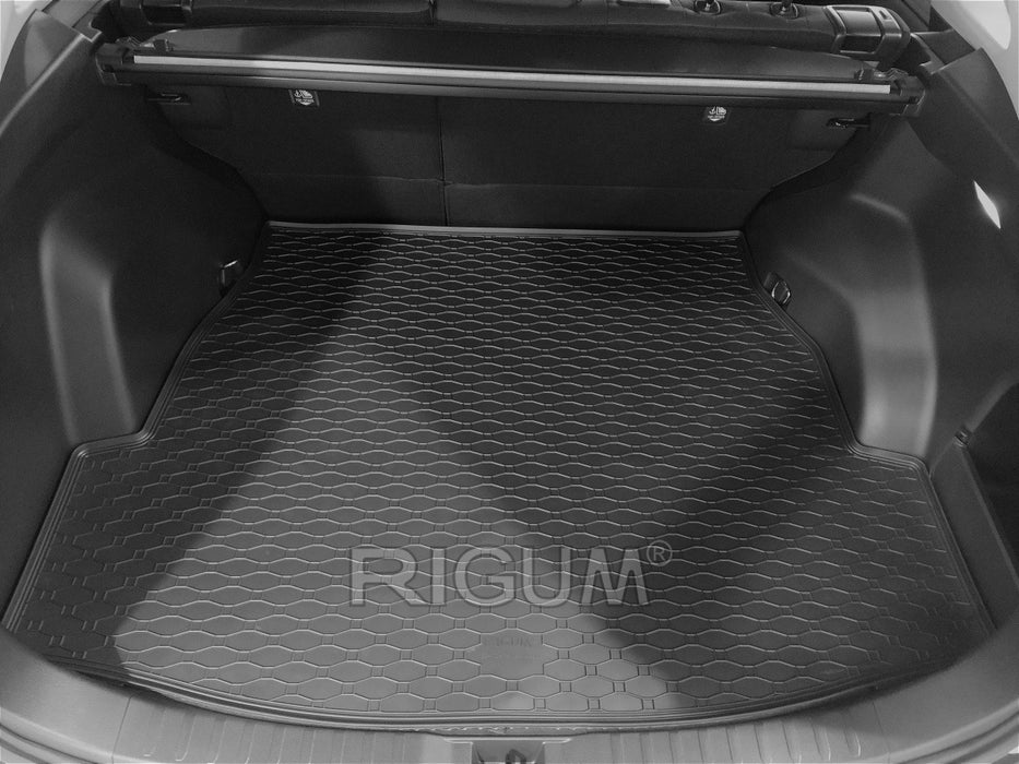 Tavita portbagaj Toyota RAV4 V Hybrid fabricatie 01.2019 - prezent, caroserie suv #2