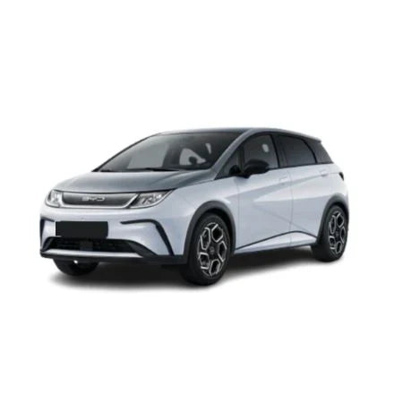 Covorase auto BYD Dolphin fabricatie 2021 - 2024, caroserie hatchback