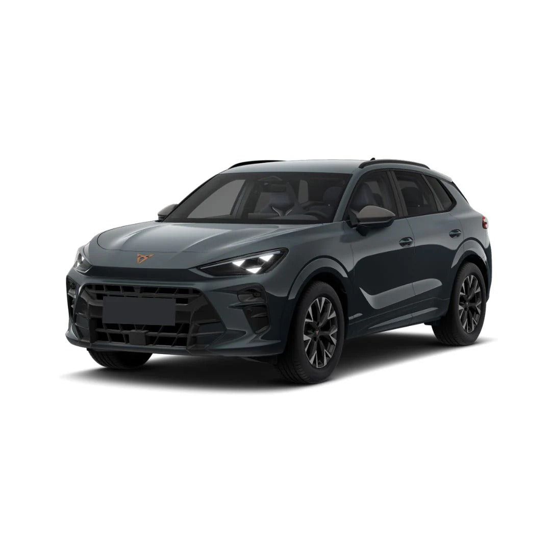 Covorase auto Cupra Terramar