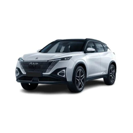 Tavite portbagaj DFSK (Dongfeng) Mage
