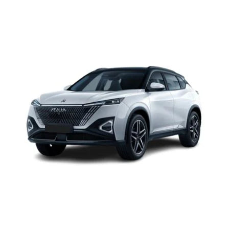 Covorase auto Dongfeng Mage