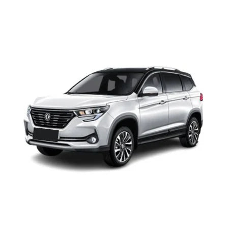 Covorase auto Forthing T5 fabricatie 2024 - prezent, caroserie suv