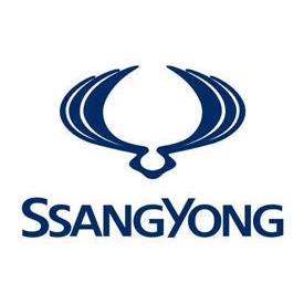 Covorase auto Ssang Yong